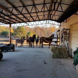 Meet your Posher, Timothy